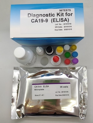 의학 diagnostic Ca19-9 Elisa 시험 키트 항원 면역 분석법 샌드위치