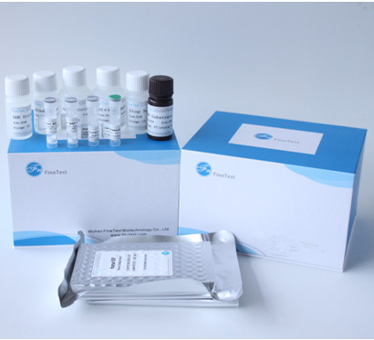 C-X-C 동기 키모카인 9 인간 CXCL9 Elisa 시험 키트 96T INVBIO