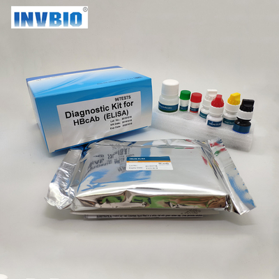 연구 용도 MSDS Elisa 시험 키트 인간 Il-17 인터루킨 17