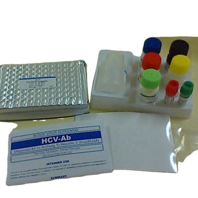 연구 용도 MSDS Elisa 시험 키트 인간 Il-17 인터루킨 17